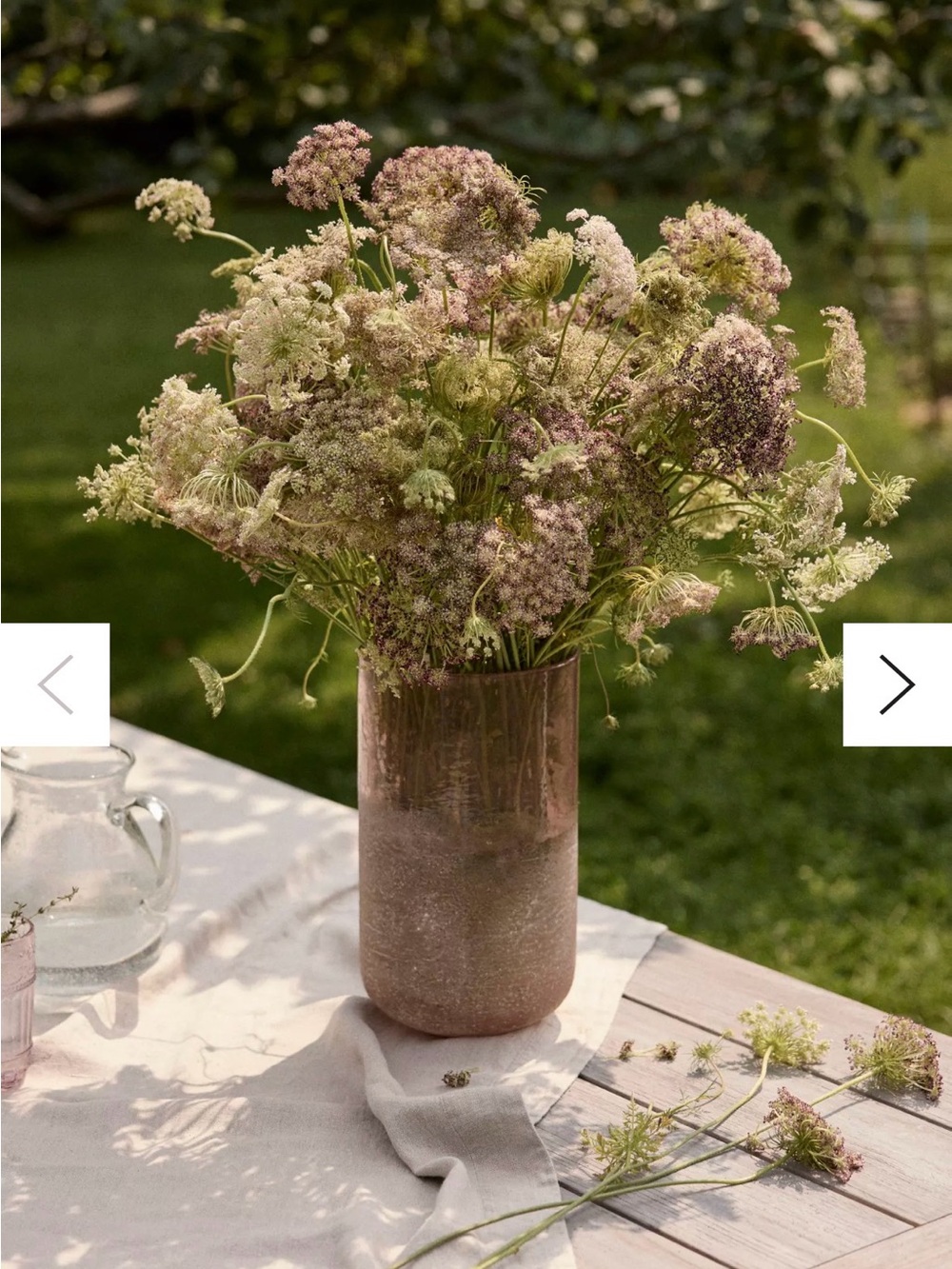 terrain 23 purple queen anne's lace Anthropologie